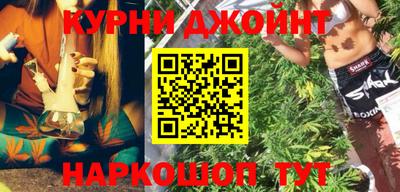 a pvp Камышлов