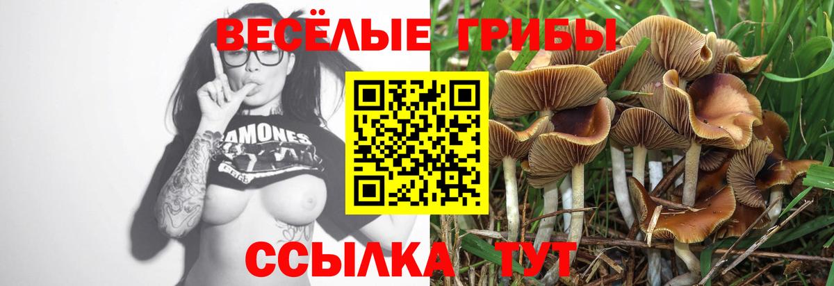 Галлюциногенные грибы прущие грибы Заринск