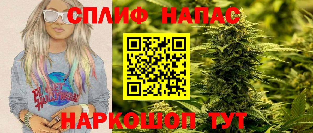 Бошки Шишки план Заринск